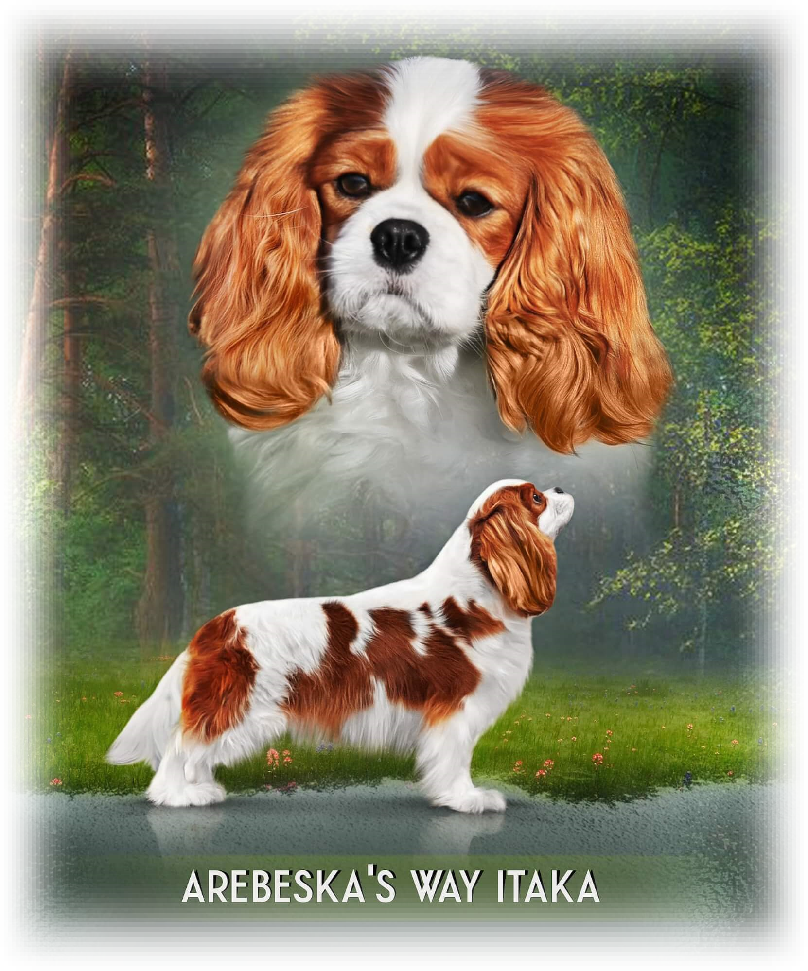 AREBESKA'S WAY ITAKA